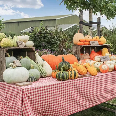 Awesome In With Wifi * Acquoy