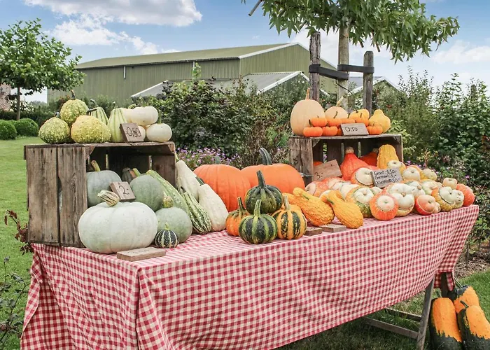 Awesome In With Wifi * Acquoy