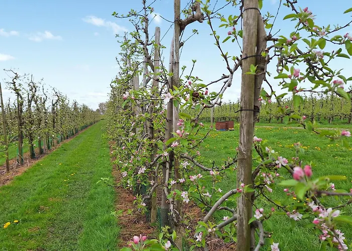 Awesome In With Wifi