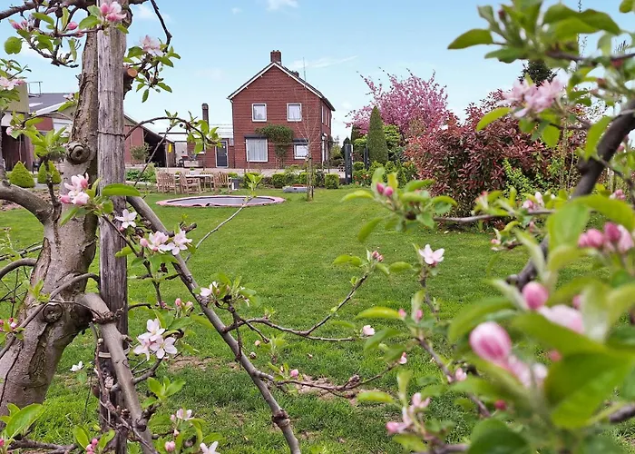 Awesome In With Wifi * Acquoy